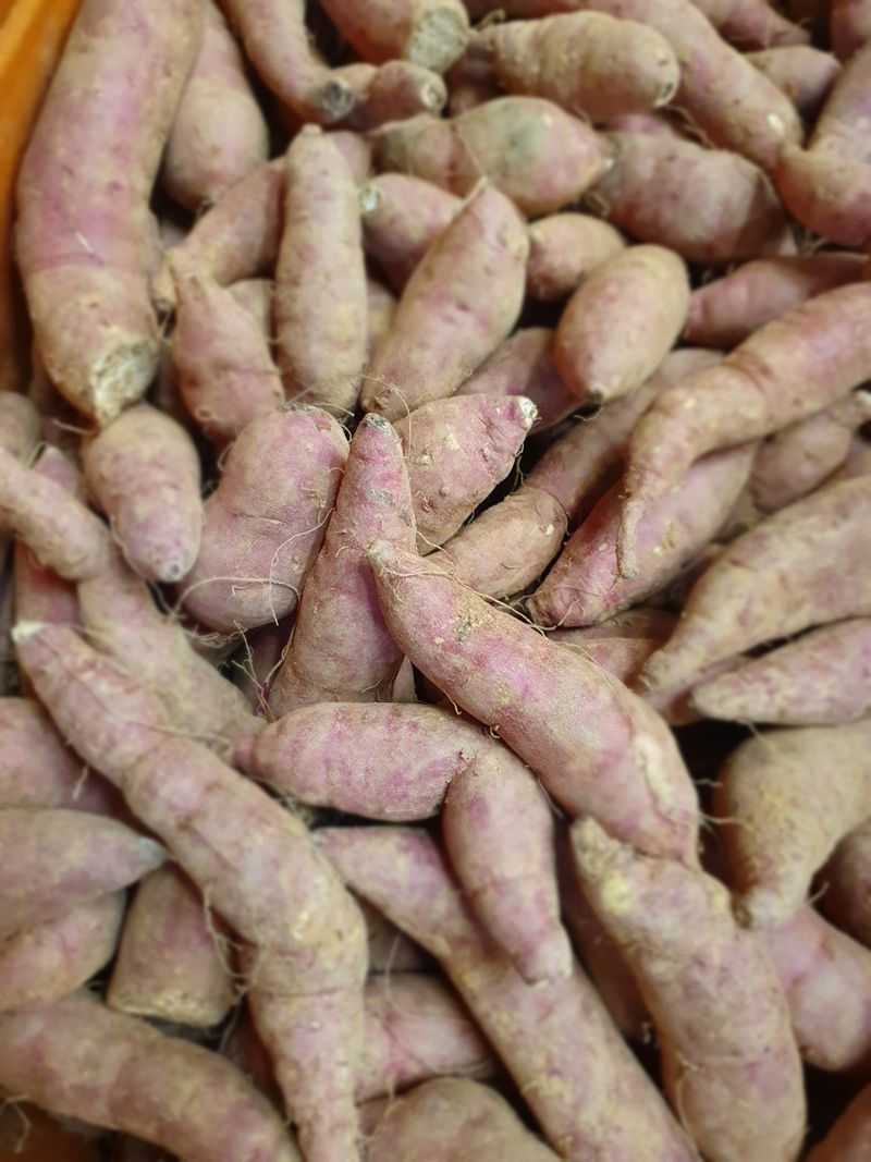 장금이1님의 장터 판매 상품 [꿀밤고구마 큰한입 26900] 첨부 사진