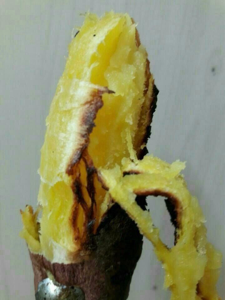 장금이1님의 장터 판매 상품 [꿀밤고구마 큰한입 26900] 첨부 사진