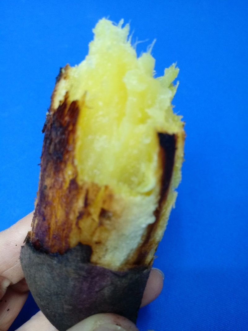 장금이1님의 장터 판매 상품 [꿀밤고구마 큰한입 26900] 첨부 사진