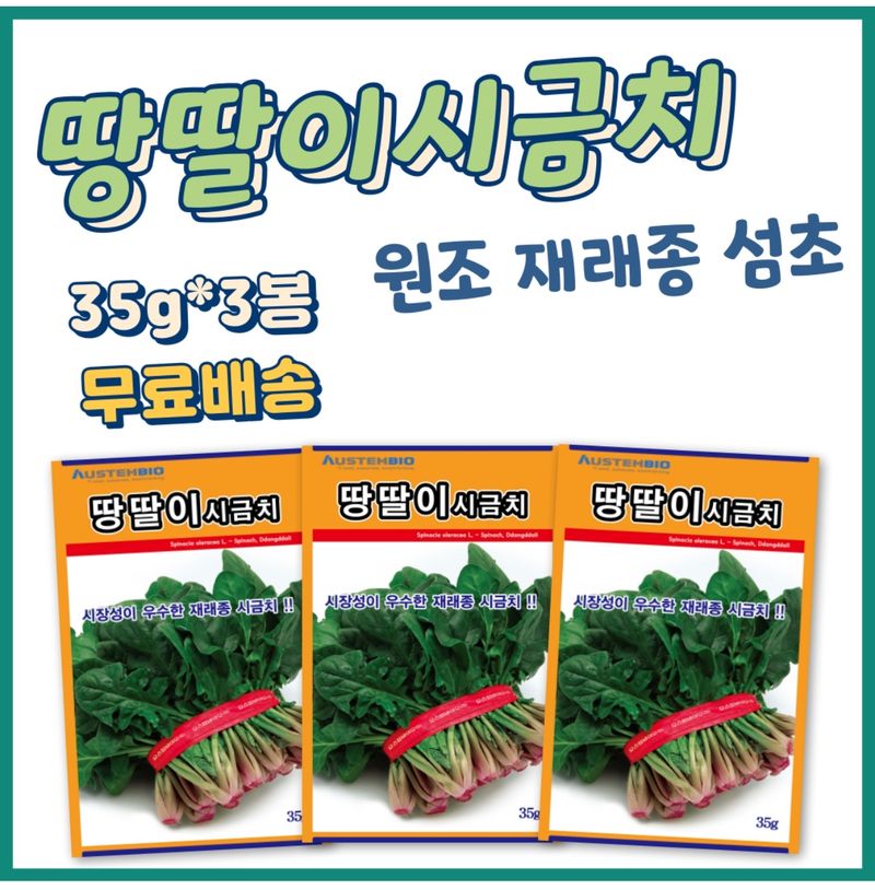 장터 상품 [땅딸이시금치씨앗 35g 겨울 월동 재래종 섬초] 썸네일