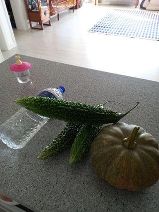 이정식님의 자유주제 · 자유게시판 작성글 사진