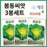 팜모닝 · 게시글 이미지