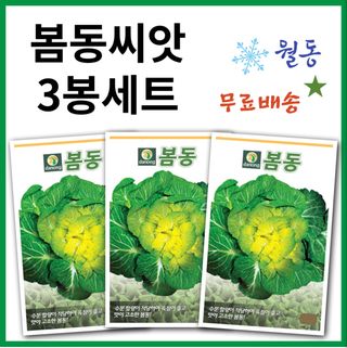 주주씨앗님의 작성글 사진