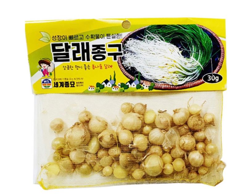 주주씨앗님의 장터 판매 상품 [달래씨앗 달래종구 30g 달래종패 400립  종자 씨] 첨부 사진