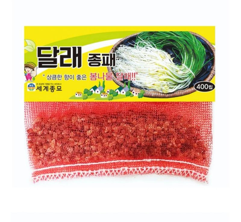 주주씨앗님의 장터 판매 상품 [달래씨앗 달래종구 30g 달래종패 400립  종자 씨] 첨부 사진