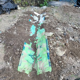 오케바리(옥경종)님의 양파 · 영농일지 작성글 사진