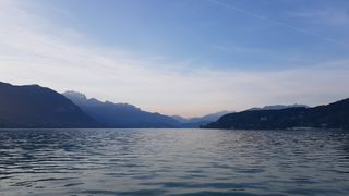 아로니아평화농장님의 배추 · 일상 작성글 사진