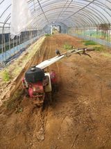 팜모닝 양배추·영농일지 게시글 이미지