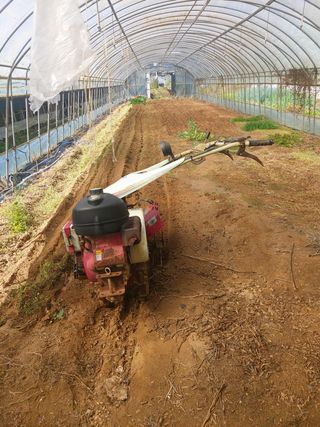 허나두울셋님의 양배추 · 영농일지 작성글 사진