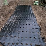 팜모닝 양파·영농일지 게시글 이미지