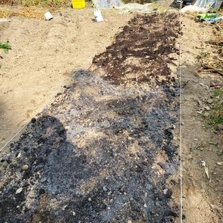 오케바리(옥경종)님의 양파 · 영농일지 작성글 사진