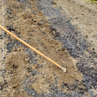 오케바리(옥경종)님의 양파 · 영농일지 작성글 사진