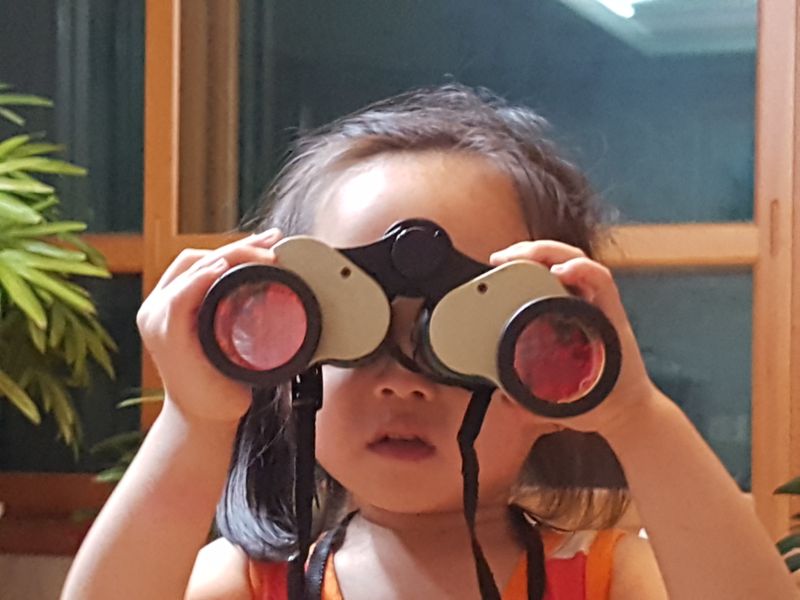 장터 상품 [지원금으로 비닐하우스 짓는데 보탬이 되었으면 좋겠습니다] 썸네일