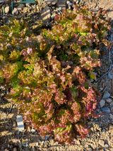 팜모닝 자유주제·자유게시판 게시글 이미지