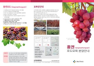 도기백님의 요즘 뜨는 신품종은? 💬 · 참여글 작성글 사진