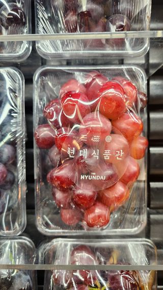 도기백님의 요즘 뜨는 신품종은? 💬 · 참여글 작성글 사진