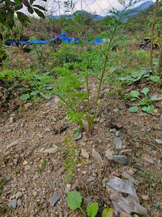 김윤숙님의 자유주제 · 자유게시판 작성글 사진