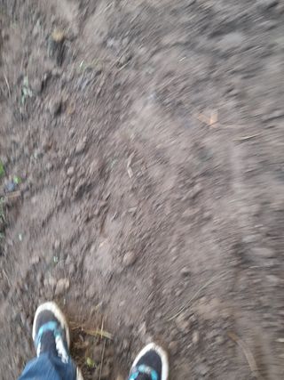 goldkim20님의 양배추 · 영농일지 작성글 사진