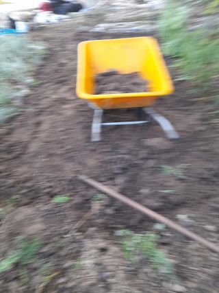 goldkim20님의 양배추 · 영농일지 작성글 사진