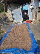 팜모닝 들깨·영농일지 게시글 이미지