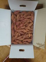 팜모닝 요즘 뜨는 신품종은? 💬·참여글 게시글 이미지