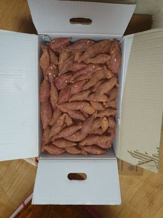 마바리63님의 요즘 뜨는 신품종은? 💬 · 참여글 작성글 사진