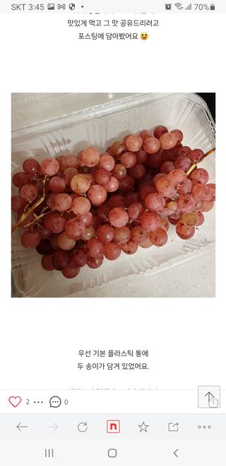 청도군님의 요즘 뜨는 신품종은? 💬 · 참여글 작성글 사진