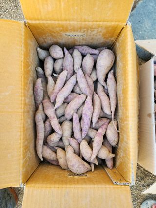 금제섭님의 작성글 사진