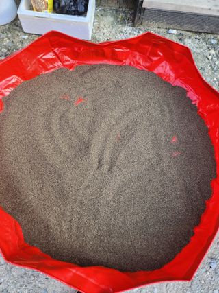 김연숙님의 들깨 · 자유게시판 작성글 사진