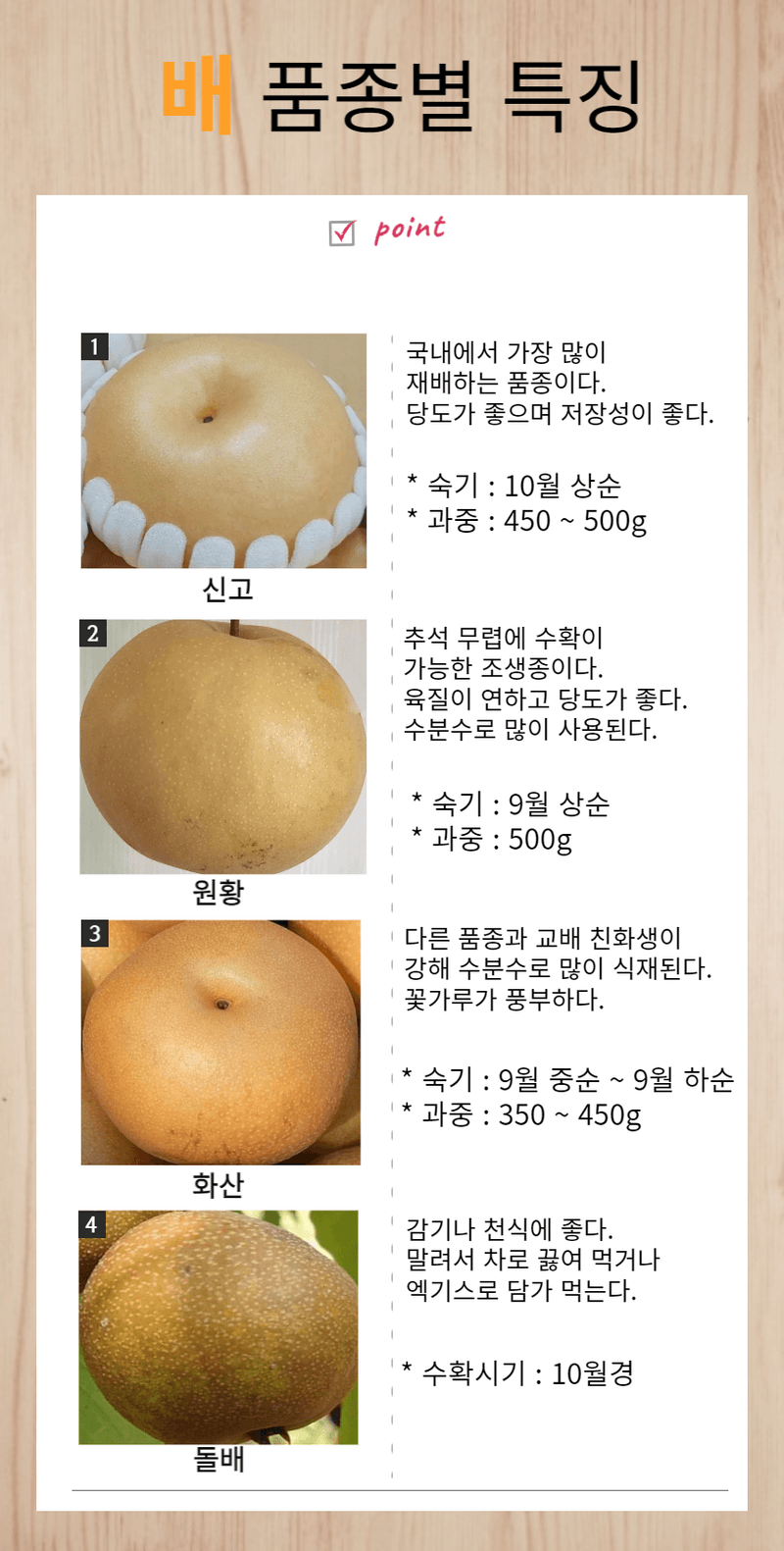 일심묘목농원님의 장터 판매 상품 [화산 배나무 접목1년생 묘목] 첨부 사진