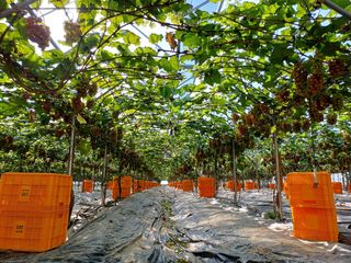 비옥토님의 자유주제 · 자유게시판 작성글 사진