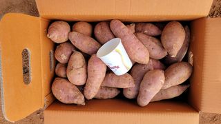 무안선유농원님의 작성글 사진