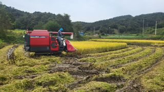 김상년님의 기타작물 · 영농일지 작성글 사진