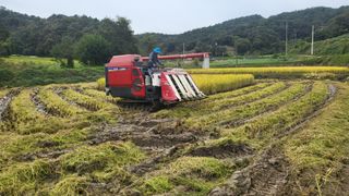 김상년님의 기타작물 · 영농일지 작성글 사진