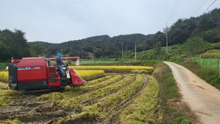 김상년님의 기타작물 · 영농일지 작성글 사진