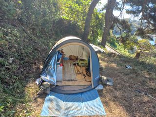 사무니님의 참깨 · 영농일지 작성글 사진