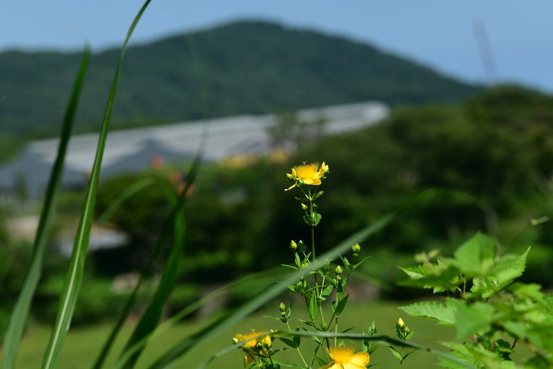 장터 상품 [해피한 한주되세요] 썸네일