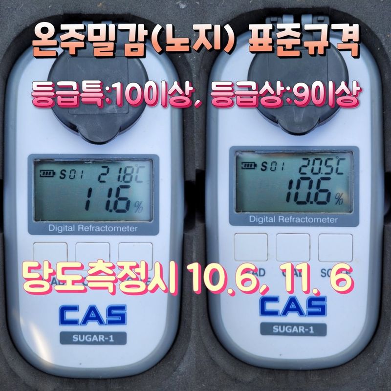 김경철님의 장터 판매 상품 [맛있는 서귀포 조생감귤, 노지황금향 판매합니다.] 첨부 사진