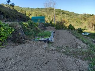 한골머스마님의 토마토 · 영농일지 작성글 사진