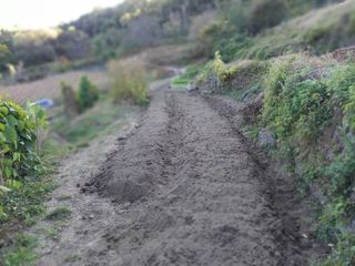 한골머스마님의 토마토 · 영농일지 작성글 사진
