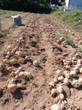 윤형곤님의 자유주제 · 자유게시판 작성글 사진