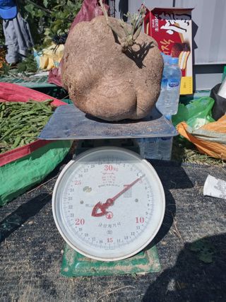 윤형곤님의 자유주제 · 자유게시판 작성글 사진