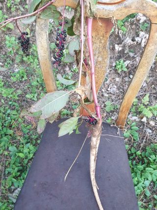 김가네님의 자유주제 · 자유게시판 작성글 사진