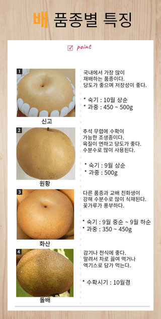 일심묘목농원님의 작성글 사진