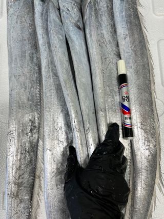 목포 물좋은수산님의 작성글 사진