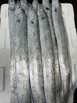 목포 물좋은수산님의 작성글 사진