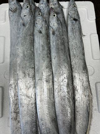 목포 물좋은수산님의 작성글 사진