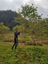 팜모닝 자유주제·자유게시판 게시글 이미지