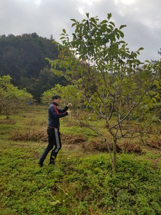 정석구님의 자유주제 · 자유게시판 작성글 사진