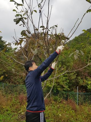 정석구님의 자유주제 · 자유게시판 작성글 사진